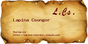 Lapina Csongor névjegykártya